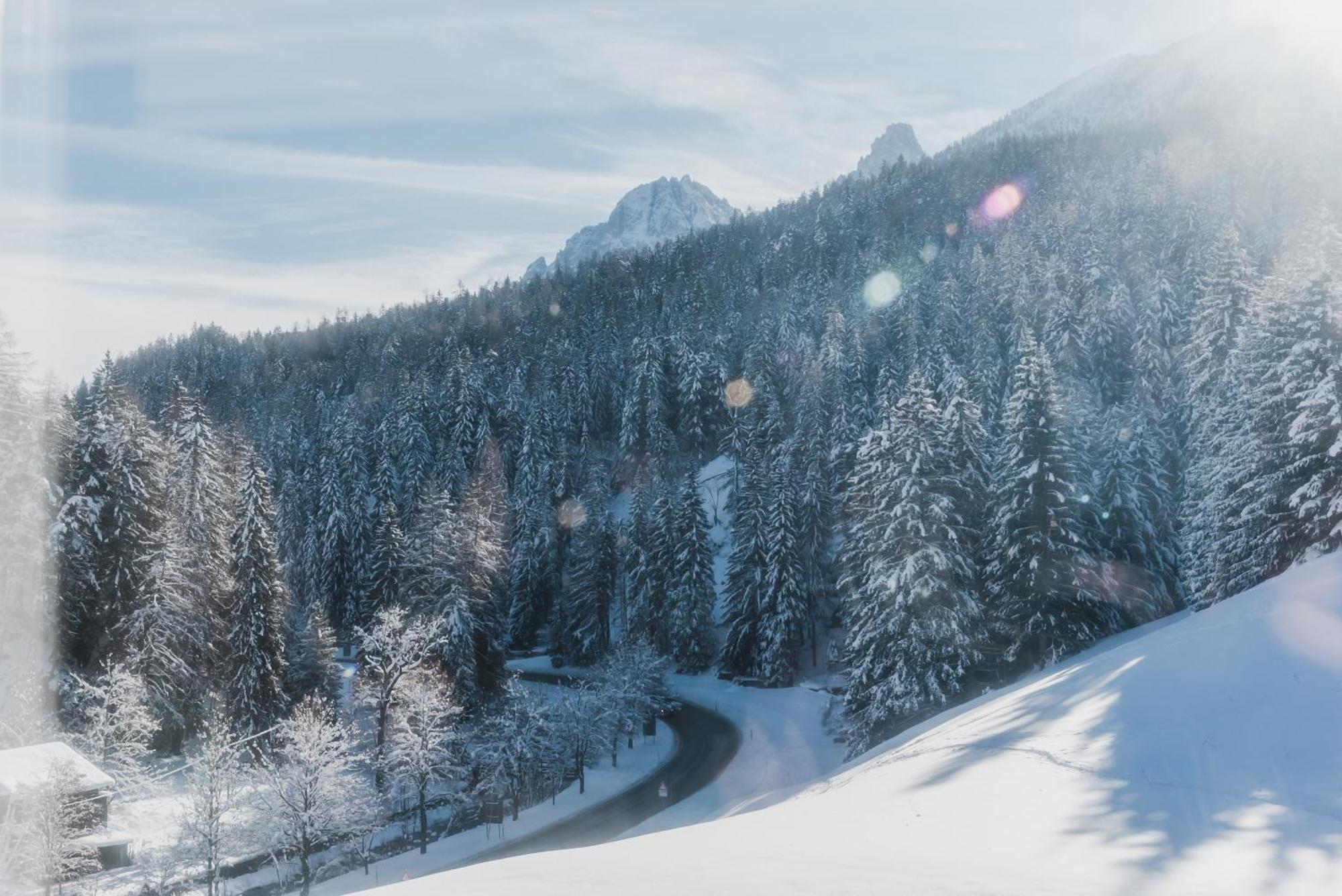 Hotel Villa Waldheim San Candido Bagian luar foto